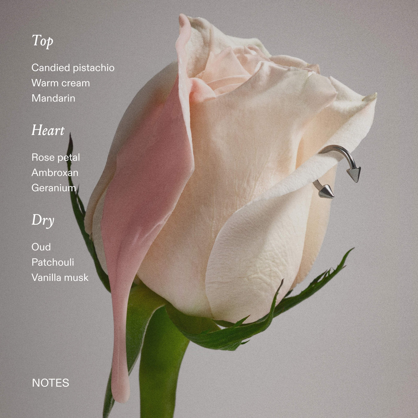 LORE Lovely and a little twisted Eau de Parfum with Rose Milk